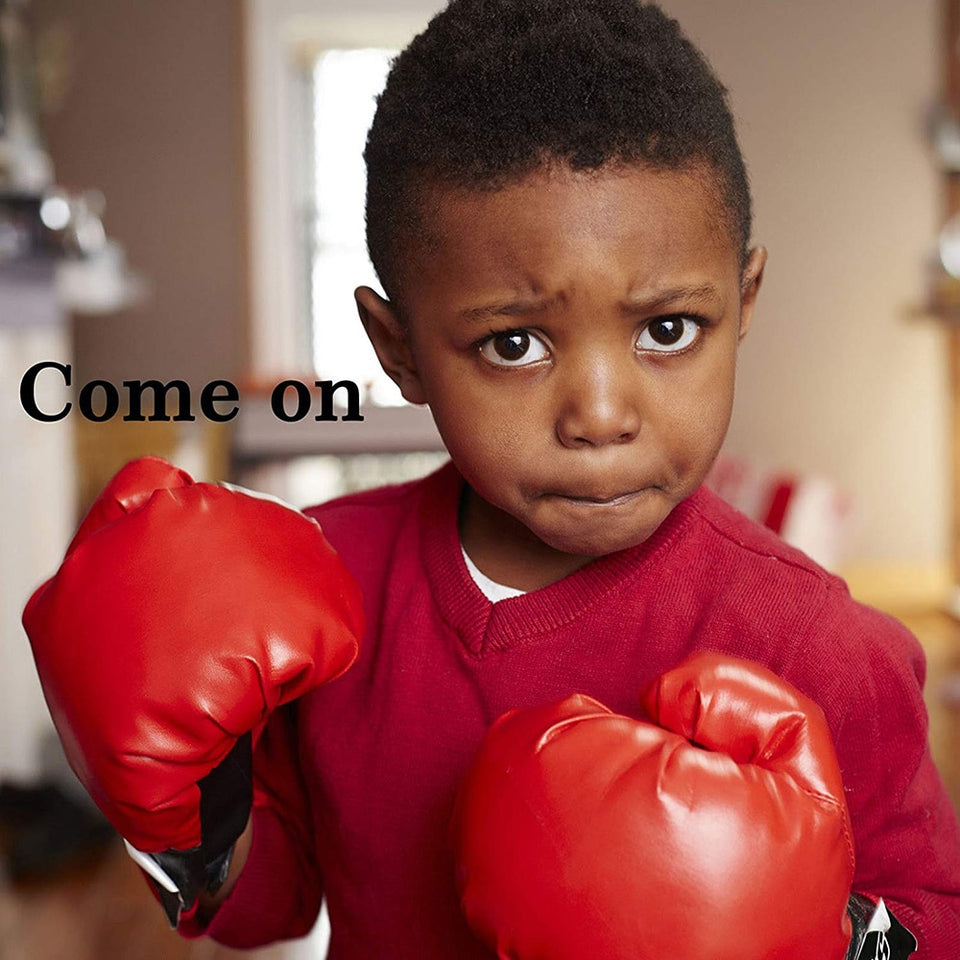 Boxing Training ball