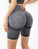 Slim Fit High Waist Yoga Sport Shorts