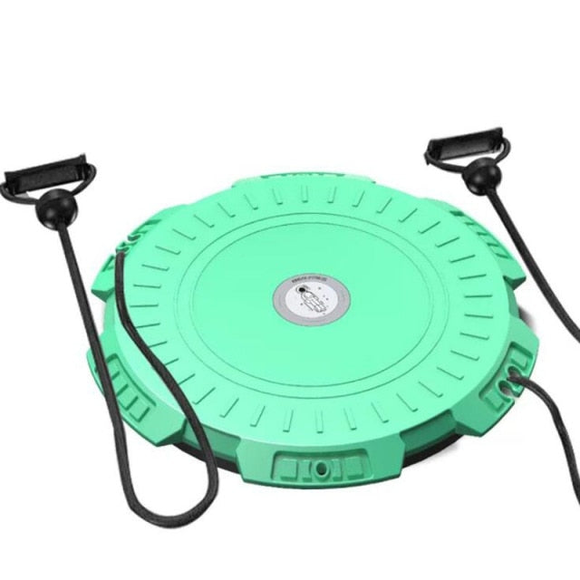 WAIST TWISTING DISC
